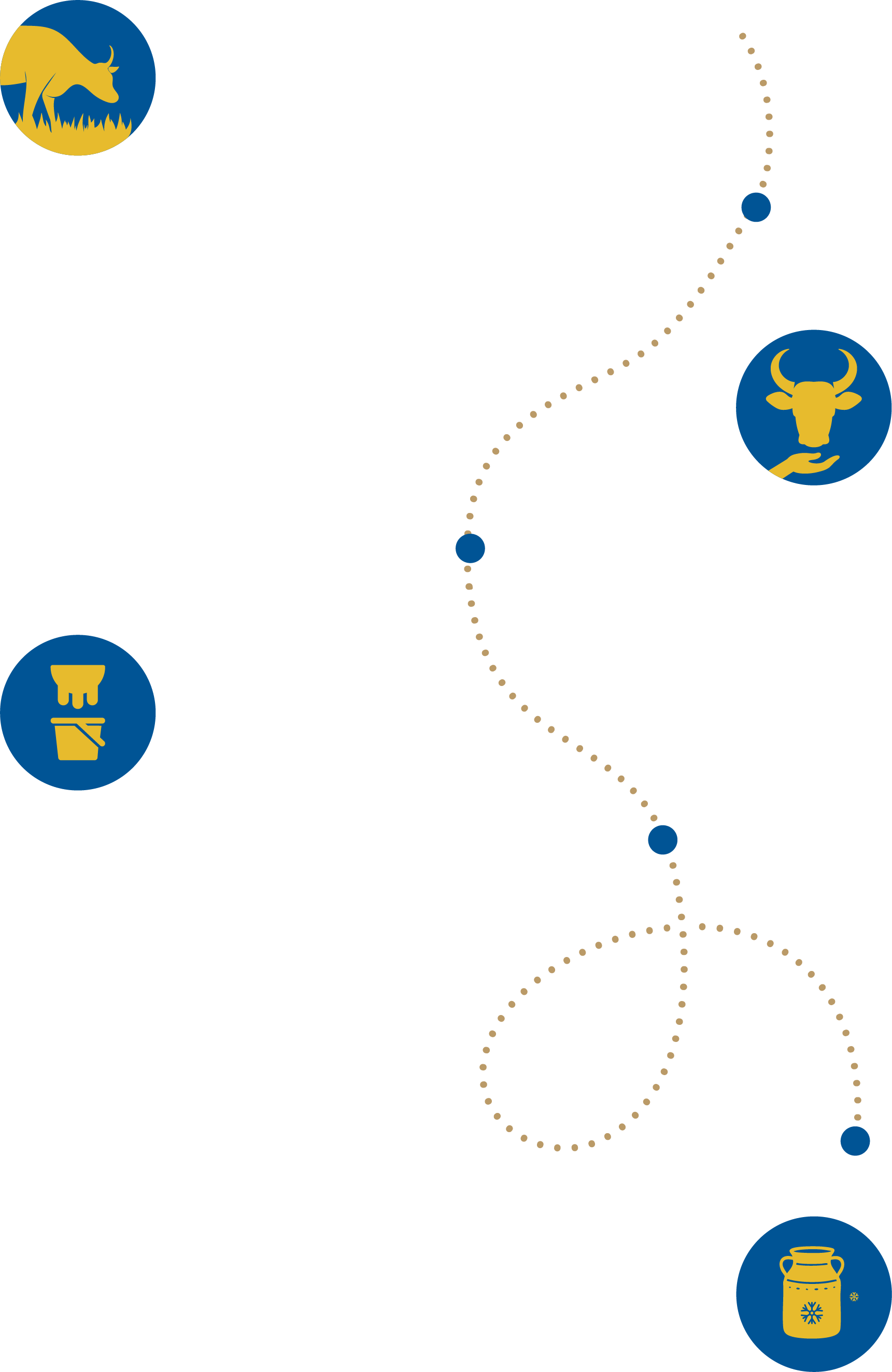 Timeline Icons