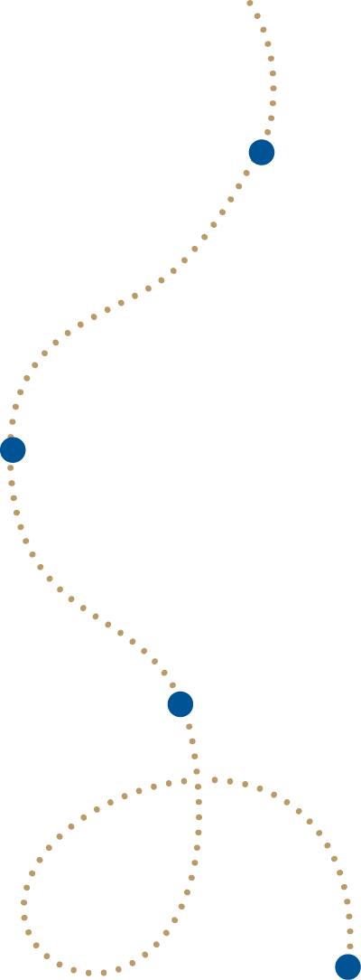 Timeline Line