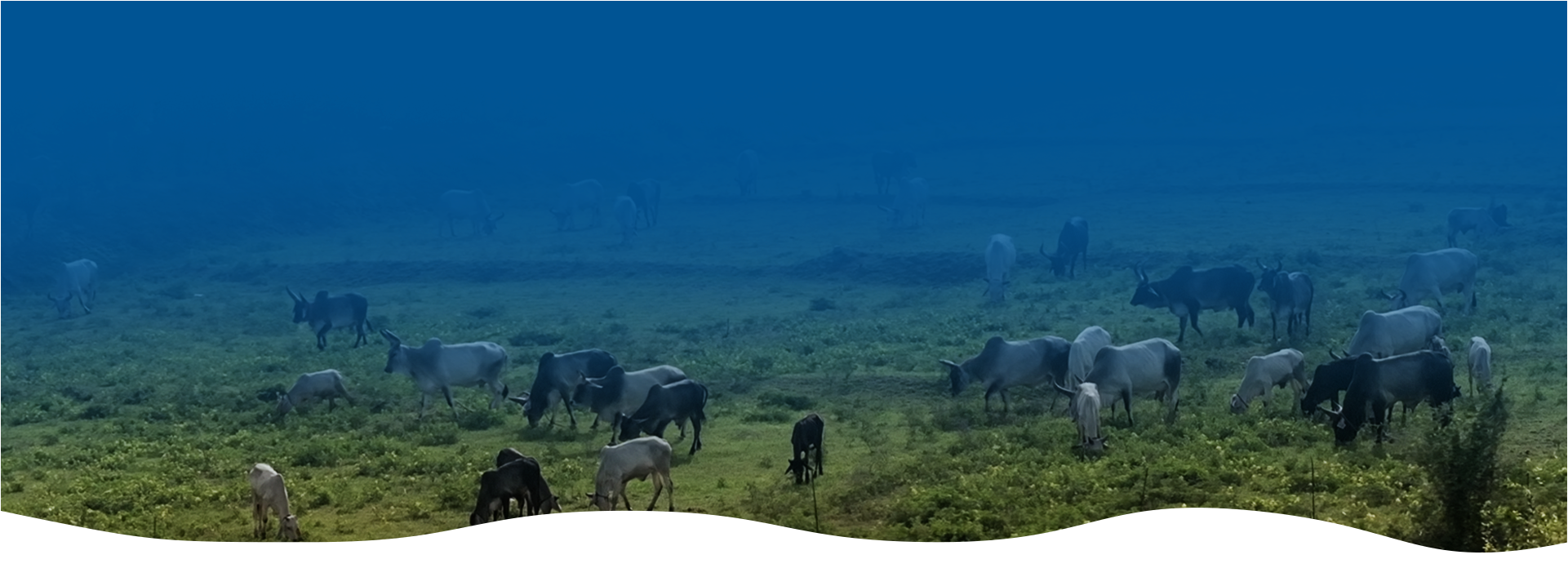 Visit Our Farm